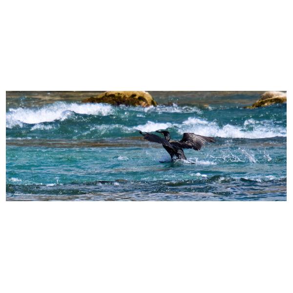 PHOTO84, CLUB, 84 , LUBERON